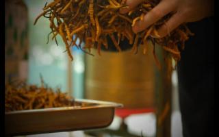 一山一味瓦竜古樹(shù)茶，愛(ài)她就請(qǐng)尊重她